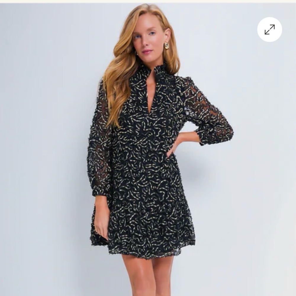 Tuckernuck black and gold dress